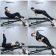 Ab Bench Joinfit Pro 2022 1
