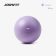 Mini Fitball Pilates Ball 2022 Joinfit Violet
